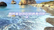如何做到對(duì)白蟻的有效防止