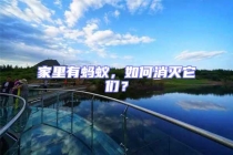 家里有螞蟻，如何消滅它們？