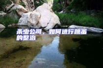 殺蟲公司，如何進(jìn)行跳蚤的整治