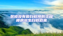 裝修沒有做白蟻預(yù)防工程樓房滋生白蟻危害