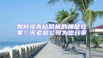 如何提高粘鼠板的捕鼠效果？滅老鼠公司為您分享