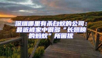 深圳哪里有殺白蟻的公司：最近被家中很多“長(zhǎng)翅膀的螞蟻”所困擾
