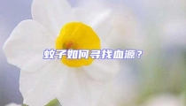 蚊子如何尋找血源？