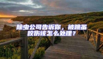 除蟲公司告訴你，被跳蚤咬傷該怎么處理？