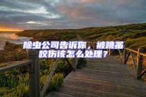 除蟲(chóng)公司告訴你，被跳蚤咬傷該怎么處理？