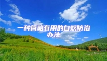 一種簡(jiǎn)略有用的白蟻防治辦法