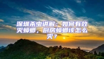 深圳殺蟲講解：如何有效滅蟑螂，廚房蟑螂該怎么滅？