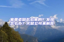 家里老鼠怎么來(lái)的？發(fā)現(xiàn)怎么辦？滅鼠公司來(lái)解答