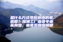 是什么方式導(dǎo)致臭蟲的蔓延呢？深圳工廠宿舍專業(yè)殺臭蟲、宿舍滅臭蟲蟑螂