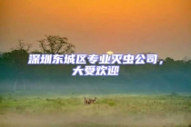 深圳東城區(qū)專業(yè)滅蟲公司，大受歡迎