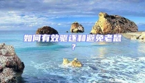 如何有效驅(qū)逐和避免老鼠？