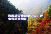 如何消滅蛾蠓小飛蟲(chóng)？滅蟲(chóng)公司來(lái)幫忙