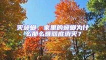 滅蟑螂，家里的蟑螂為什么那么難徹底消滅？