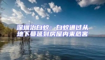 深圳治白蟻：白蟻通過從地下蔓延到房屋內(nèi)來危害