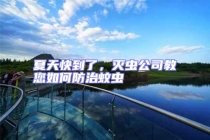 夏天快到了，滅蟲(chóng)公司教您如何防治蚊蟲(chóng)