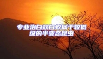 專業(yè)治白蟻白蟻屬于較低級的半變態(tài)昆蟲