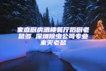 家庭廚房酒樓餐廳后廚老鼠多 深圳除蟲(chóng)公司專(zhuān)業(yè)來(lái)滅老鼠