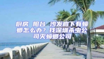 廚房 陽臺 沙發(fā)底下有蟑螂怎么辦？找深圳殺蟲公司滅蟑螂公司