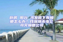 廚房 陽臺(tái) 沙發(fā)底下有蟑螂怎么辦？找深圳殺蟲公司滅蟑螂公司