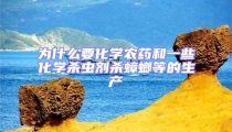 為什么要化學(xué)農(nóng)藥和一些化學(xué)殺蟲劑殺蟑螂等的生產(chǎn)