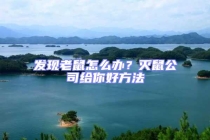 發(fā)現(xiàn)老鼠怎么辦？滅鼠公司給你好方法