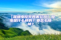 【深圳蟲控滅四害公司】臭蟲是什么樣的？要怎么除掉？