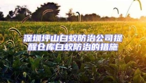 深圳坪山白蟻防治公司提醒倉庫白蟻防治的措施