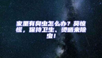 家里有臭蟲怎么辦？莫驚慌，保持衛(wèi)生、燙曬來除蟲！