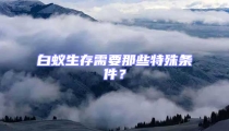 白蟻生存需要那些特殊條件？