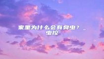 家里為什么會有臭蟲？_蟲控