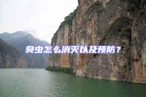 臭蟲(chóng)怎么消滅以及預(yù)防？
