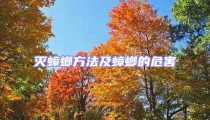 滅蟑螂方法及蟑螂的危害