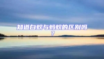 知道白蟻與螞蟻的區(qū)別嗎？