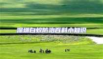 深圳白蟻防治百科小知識