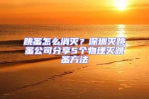 跳蚤怎么消滅？深圳滅跳蚤公司分享5個物理滅跳蚤方法