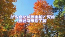 什么會(huì)讓蟑螂害怕？滅蟑螂公司帶你了解