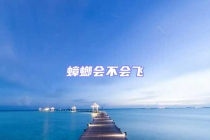 蟑螂會(huì)不會(huì)飛