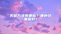 滅鼠方法有哪些？哪種效果最好？