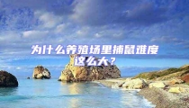 為什么養(yǎng)殖場里捕鼠難度這么大？