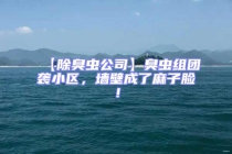 【除臭蟲公司】臭蟲組團(tuán)襲小區(qū)，墻壁成了麻子臉！