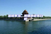 裝修不當，新樓房也有白蟻