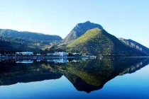 上海餐廳顧客就餐時(shí)活老鼠“落”到脖子上