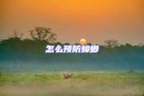 怎么預(yù)防蟑螂