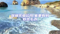 深圳滅蟲(chóng)公司,家里有螞蟻怎么辦