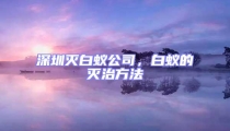 深圳滅白蟻公司，白蟻的滅治方法