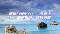深圳白蟻中心：  氣溫上升，白蟻扮演“神風(fēng)突擊”