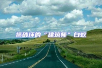 搞破壞的“建筑師”白蟻