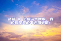 湯姆 & 杰瑞誠(chéng)不我欺，有的貓是真的不會(huì)抓老鼠！