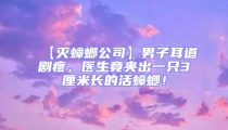 【滅蟑螂公司】男子耳道劇疼，醫(yī)生竟夾出一只3厘米長(zhǎng)的活蟑螂！