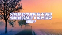 滅蟑螂公司如何在不使用蟑螂藥的前提下消滅消滅蟑螂？